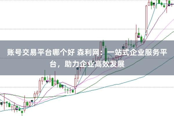 账号交易平台哪个好 森利网:一站式企业服务平台,助力企业高效发展