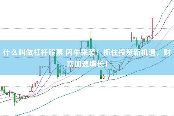 什么叫做杠杆股票 闪牛来袭!抓住投资新机遇,财富加速增长!