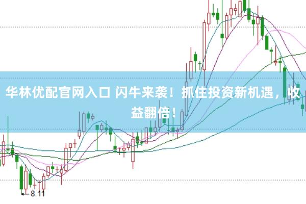 华林优配官网入口 闪牛来袭！抓住投资新机遇，收益翻倍！
