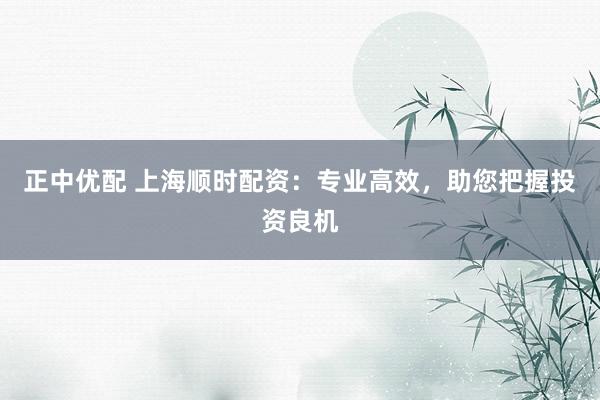正中优配 上海顺时配资：专业高效，助您把握投资良机