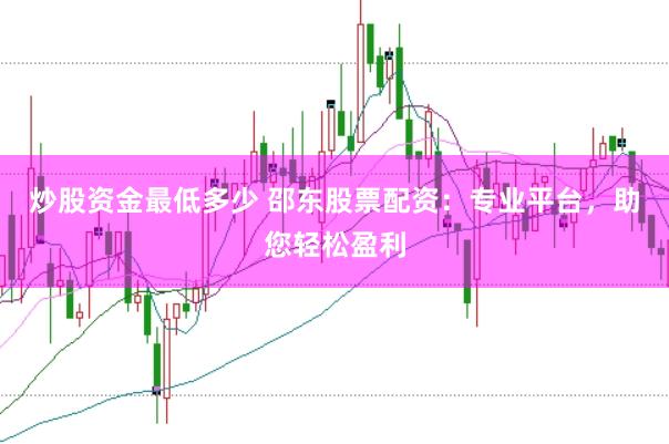 炒股资金最低多少 邵东股票配资：专业平台，助您轻松盈利