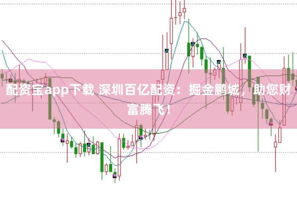 配资宝app下载 深圳百亿配资：掘金鹏城，助您财富腾飞！