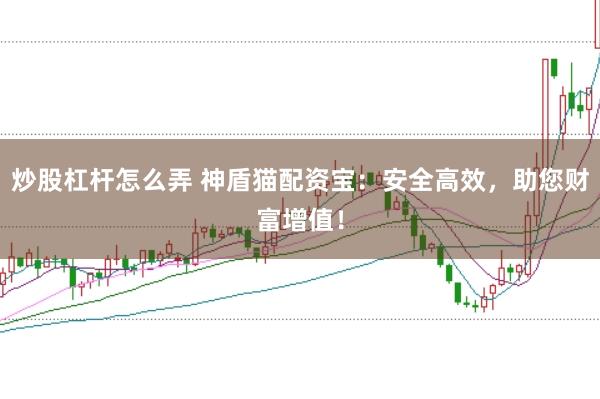 炒股杠杆怎么弄 神盾猫配资宝:安全高效,助您财富增值!