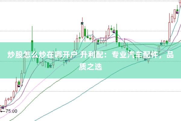炒股怎么炒在哪开户 升利配：专业汽车配件，品质之选