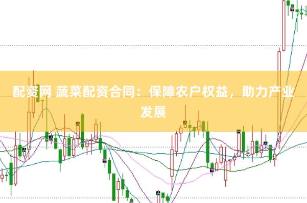 配资网 蔬菜配资合同：保障农户权益，助力产业发展