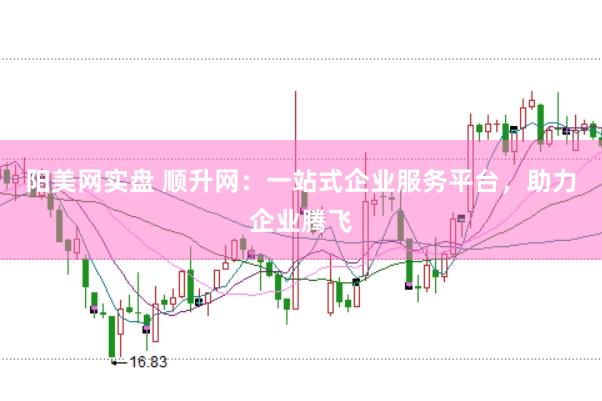 阳美网实盘 顺升网：一站式企业服务平台，助力企业腾飞