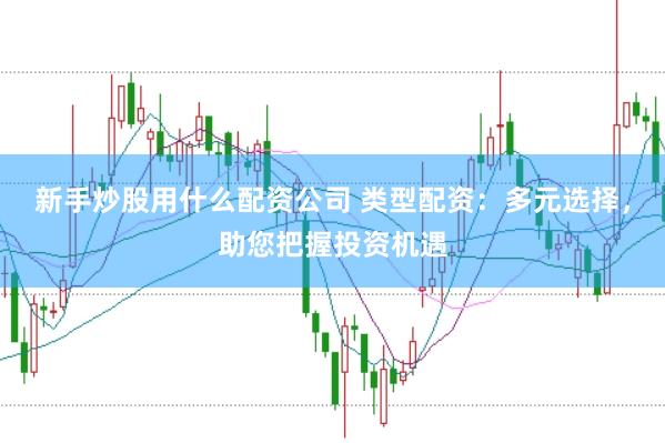 新手炒股用什么配资公司 类型配资：多元选择，助您把握投资机遇