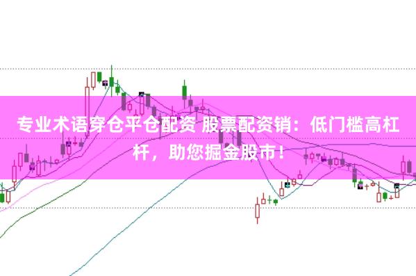 专业术语穿仓平仓配资 股票配资销：低门槛高杠杆，助您掘金股市！