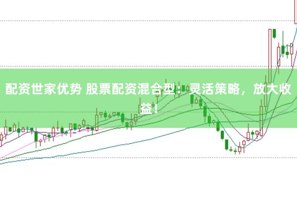 配资世家优势 股票配资混合型：灵活策略，放大收益！