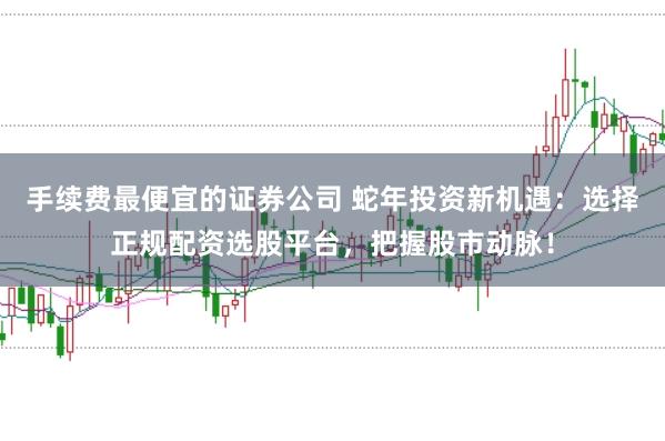 手续费最便宜的证券公司 蛇年投资新机遇：选择正规配资选股平台，把握股市动脉！