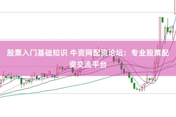股票入门基础知识 牛资网配资论坛：专业股票配资交流平台