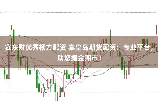 鑫东财优秀杨方配资 秦皇岛期货配资：专业平台，助您掘金期市！