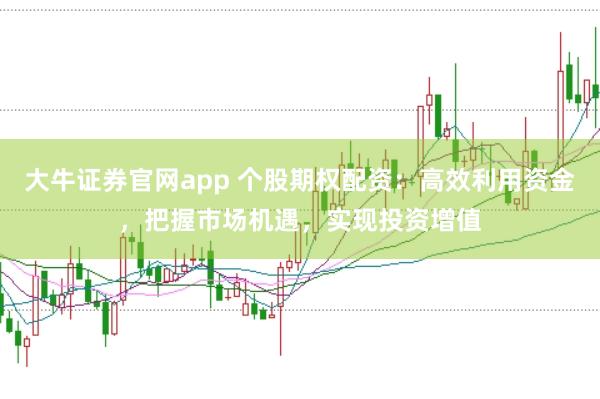 大牛证券官网app 个股期权配资：高效利用资金，把握市场机遇，实现投资增值
