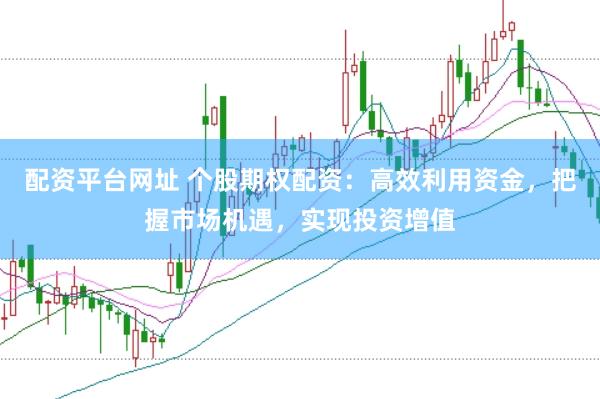 配资平台网址 个股期权配资：高效利用资金，把握市场机遇，实现投资增值