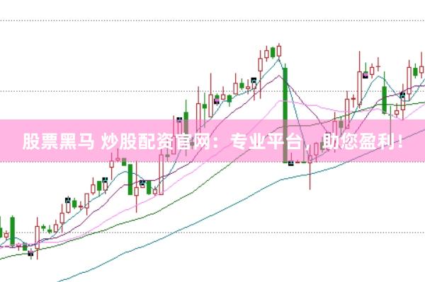股票黑马 炒股配资官网：专业平台，助您盈利！