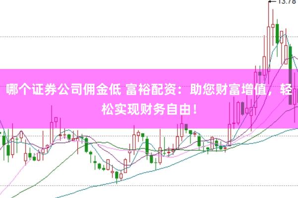哪个证券公司佣金低 富裕配资：助您财富增值，轻松实现财务自由！