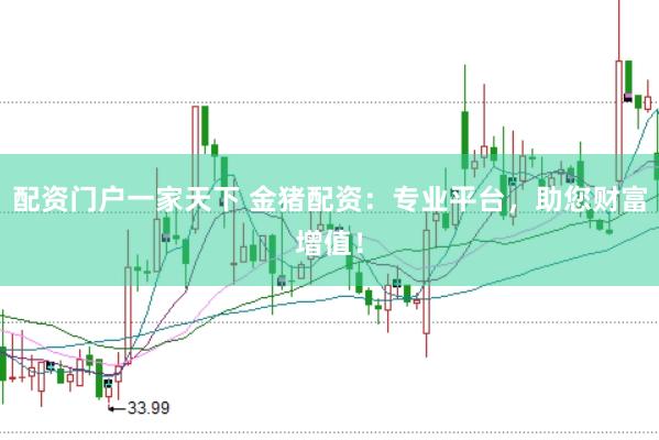 配资门户一家天下 金猪配资：专业平台，助您财富增值！
