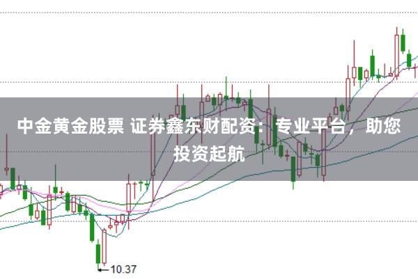 中金黄金股票 证券鑫东财配资：专业平台，助您投资起航