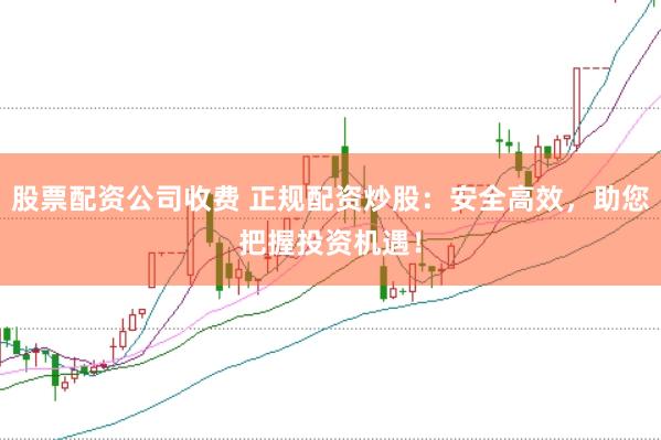 股票配资公司收费 正规配资炒股：安全高效，助您把握投资机遇！