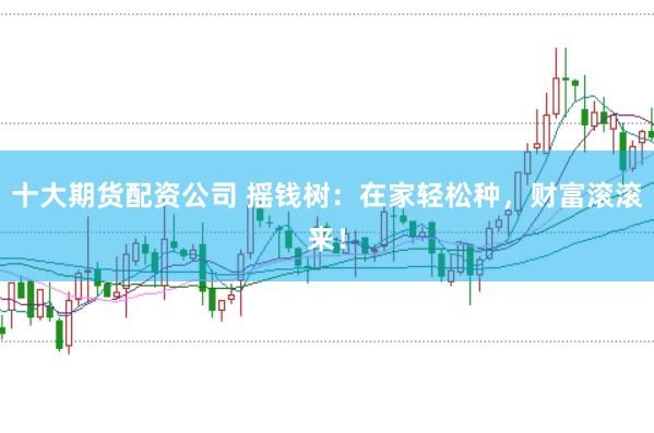 十大期货配资公司 摇钱树：在家轻松种，财富滚滚来！