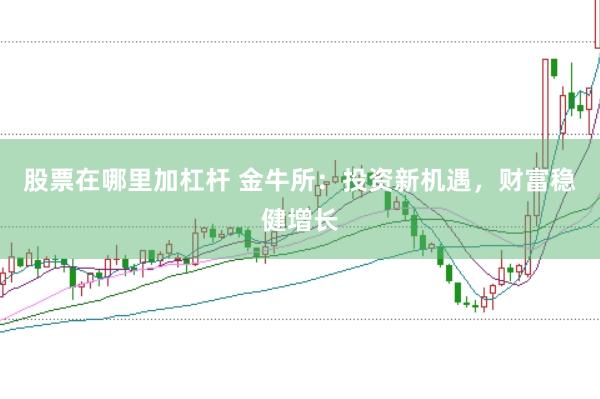 股票在哪里加杠杆 金牛所：投资新机遇，财富稳健增长