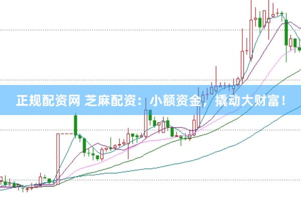 正规配资网 芝麻配资：小额资金，撬动大财富！