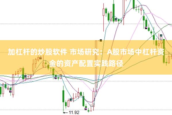 加杠杆的炒股软件 市场研究：A股市场中杠杆资金的资产配置实践路径