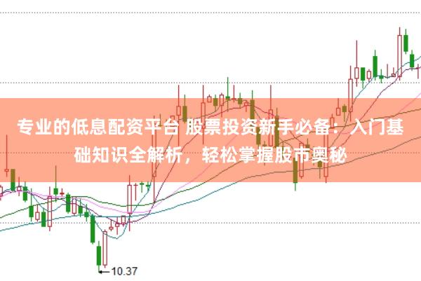 专业的低息配资平台 股票投资新手必备：入门基础知识全解析，轻松掌握股市奥秘