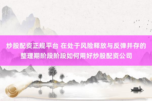 炒股配资正规平台 在处于风险释放与反弹并存的整理期阶段阶段如何用好炒股配资公司