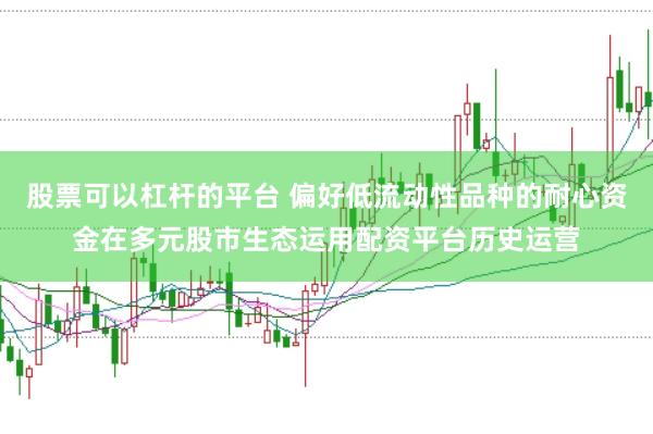股票可以杠杆的平台 偏好低流动性品种的耐心资金在多元股市生态运用配资平台历史运营