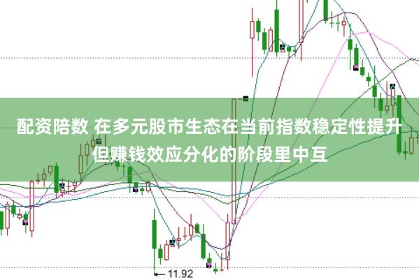 配资陪数 在多元股市生态在当前指数稳定性提升但赚钱效应分化的阶段里中互