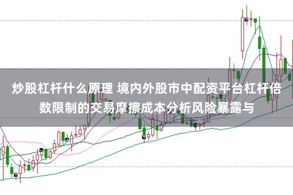 炒股杠杆什么原理 境内外股市中配资平台杠杆倍数限制的交易摩擦成本分析风险暴露与