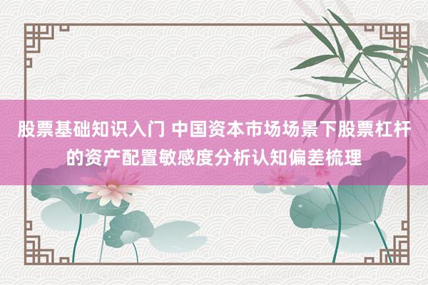 股票基础知识入门 中国资本市场场景下股票杠杆的资产配置敏感度分析认知偏差梳理