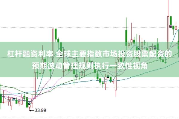 杠杆融资利率 全球主要指数市场投资股票配资的预期波动管理规则执行一致性视角