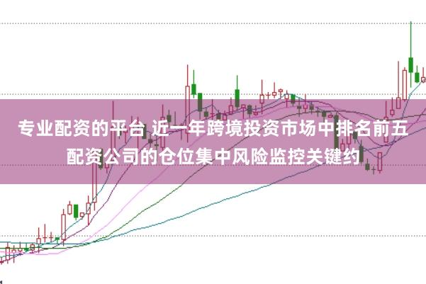 专业配资的平台 近一年跨境投资市场中排名前五配资公司的仓位集中风险监控关键约