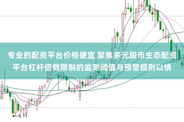 专业的配资平台价格便宜 聚焦多元股市生态配资平台杠杆倍数限制的监测阈值与预警规则以情