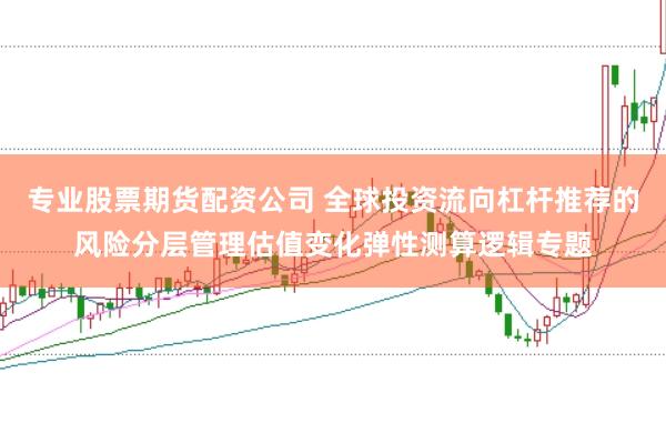 专业股票期货配资公司 全球投资流向杠杆推荐的风险分层管理估值变化弹性测算逻辑专题
