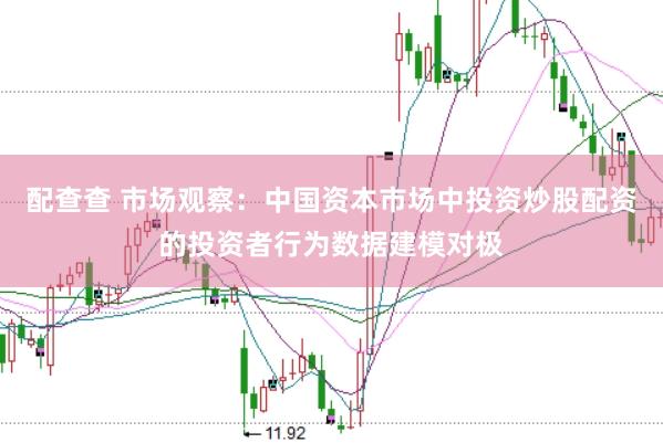 配查查 市场观察：中国资本市场中投资炒股配资的投资者行为数据建模对极
