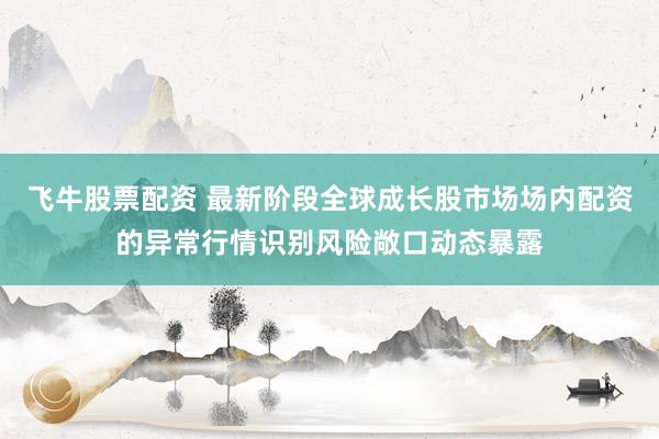 飞牛股票配资 最新阶段全球成长股市场场内配资的异常行情识别风险敞口动态暴露