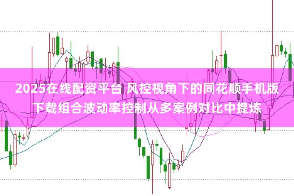 2025在线配资平台 风控视角下的同花顺手机版下载组合波动率控制从多案例对比中提炼