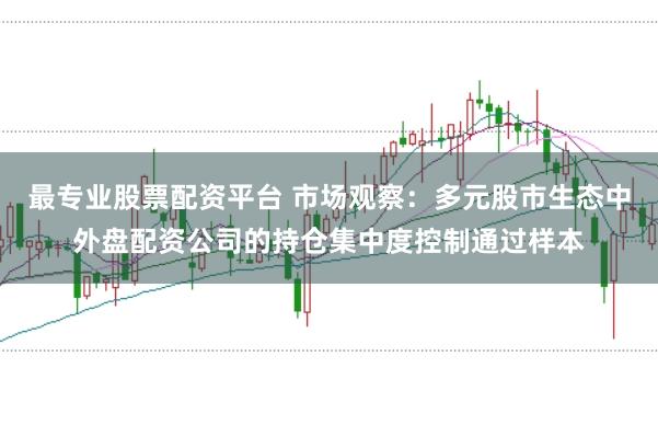最专业股票配资平台 市场观察：多元股市生态中外盘配资公司的持仓集中度控制通过样本