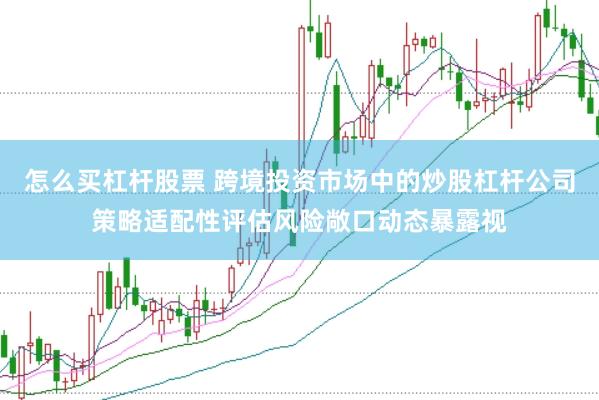 怎么买杠杆股票 跨境投资市场中的炒股杠杆公司策略适配性评估风险敞口动态暴露视