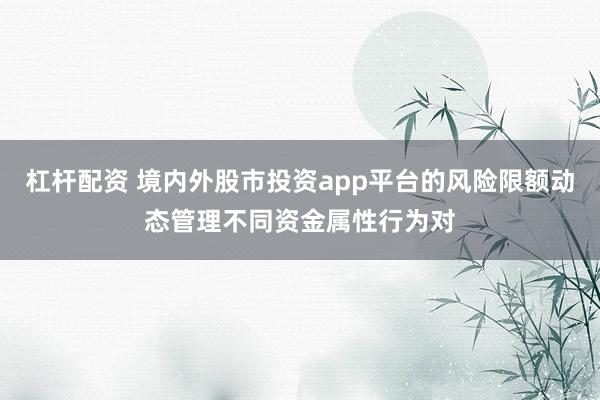杠杆配资 境内外股市投资app平台的风险限额动态管理不同资金属性行为对