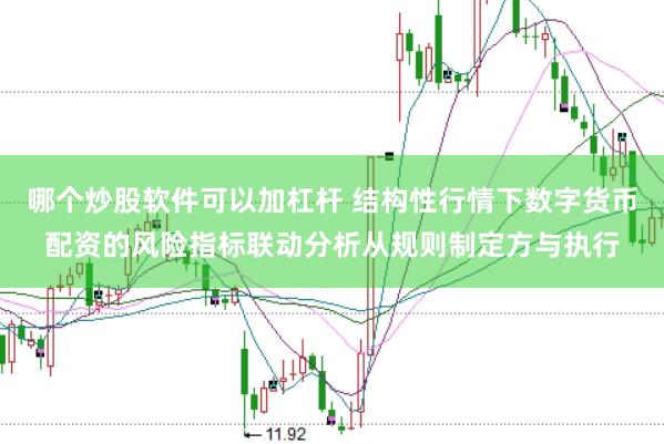 哪个炒股软件可以加杠杆 结构性行情下数字货币配资的风险指标联动分析从规则制定方与执行