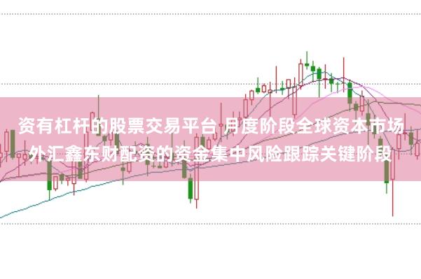 资有杠杆的股票交易平台 月度阶段全球资本市场外汇鑫东财配资的资金集中风险跟踪关键阶段