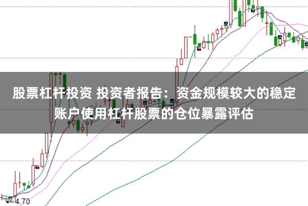 股票杠杆投资 投资者报告：资金规模较大的稳定账户使用杠杆股票的仓位暴露评估