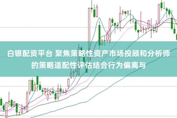 白银配资平台 聚焦策略性资产市场投顾和分析师的策略适配性评估结合行为偏离与