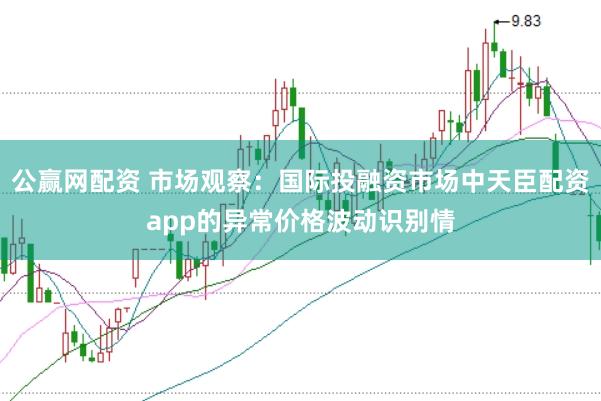 公赢网配资 市场观察：国际投融资市场中天臣配资app的异常价格波动识别情