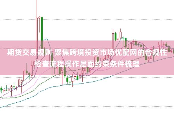 期货交易规则 聚焦跨境投资市场优配网的合规性检查流程操作层面约束条件梳理
